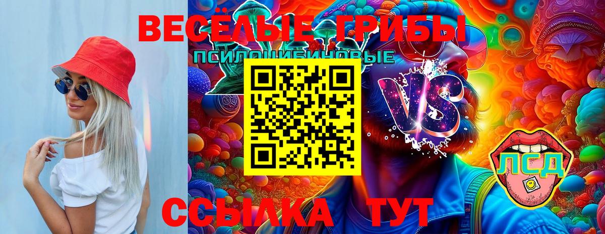 Псилоцибиновые грибы Psilocybe  Вход с VPN  Усолье-Сибирское 