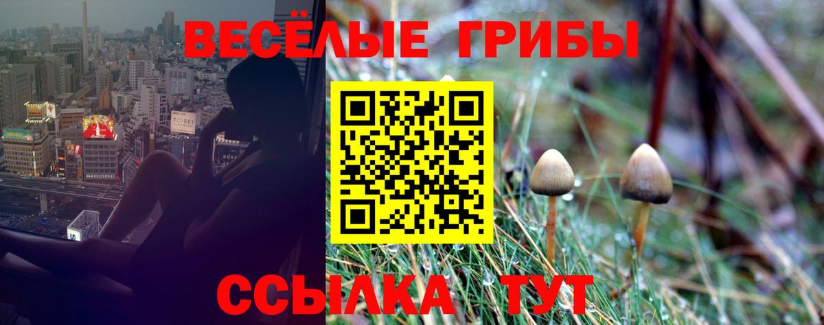 Галлюциногенные грибы MAGIC MUSHROOMS Усолье-Сибирское